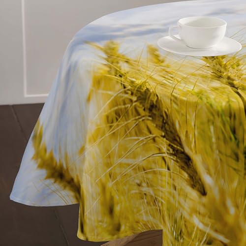 Lukery Redondo Mantel 3D Arrozal Mantel, Antimanchas Poliéster Mantel 90-200cm Mantel Lavable Mesa para Comedor, Cocina Decoración (arrozal 4,Diámetro 200 cm)