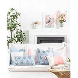 Hofdeco Premium Coastal Patio Indoor Outdoor Throw Pillow Cover Only, 18"x18" Water Repellent for Backyard, Couch, Baby Blue Blush Pink Floral with Piping Hofdeco Premium Coastal Patio Indoor Outdoor Throw Pillow Cover Only 18×18 Water Repellent for Backyard Couch Baby Blue Blush Pink Floral with Piping