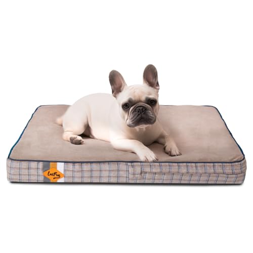 Laifug Orthopedic Memory Foam Pet(40"x 25"x 4",Black)/Dog Bed with Durable Waterproof Liner and Removable Washable Cover 40.0"L x 25.0"W x 4.0"Th Black