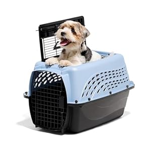 Petmate Dog Crates for Small Dogs & Cat Carriers, Two-Door Plastic Pet Kennel, Top & Front Loading, Made in USA, 24″, Blue