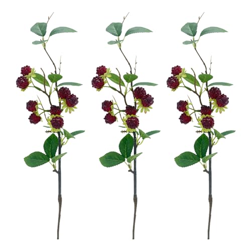 MINGZHE 3pcs Faux Fruit Black Berry,Artificial Berries Simulated Raspberry Berry Wild Fruit Raspberry Home Table Decorations(Inspired Plum)