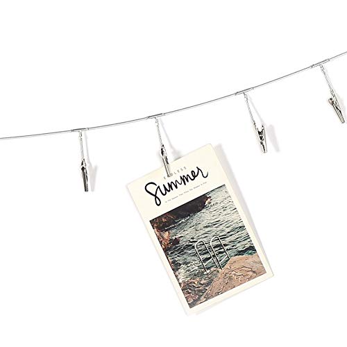 Photo Hanging Display with Clips, Wall Hanging Photo Display Cable Wire Rod String with 12 Clips for Hanging Photos Notes and Artworks