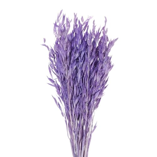 Pampas Grass Large 25PCS Flores Secas Decorativas Naturales