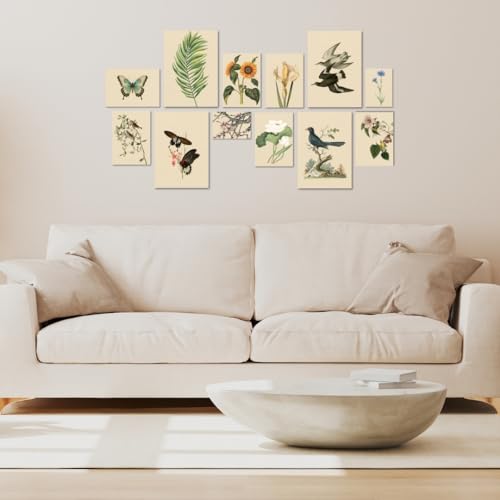 Image of Funk You Store Vintage Botanical Prints Wall Art (Set of 12) - Botanical Plant Poster, Butterfly Pictures Bird Art Sunflower Fern Prints, Flower Painting Home Bedroom Decorations (D 024)