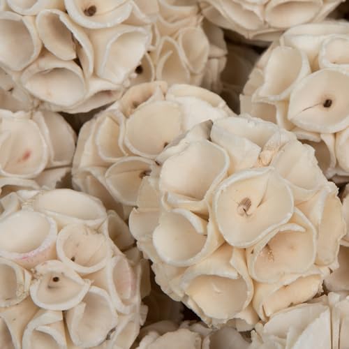 Sola Crape Ball Vickerman planta seca sin mantenimiento, esferas marrones decorativas, 50 ud 3