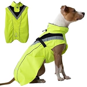 DOGOPAL Imperméable Chien – Manteaux Imperméables Légers & Confortables pour Chiens de Petite, Moyenne et Grande Taille – Manteau à Surface Réfléchissante avec Ouverture Harnais – (Jaune, M)