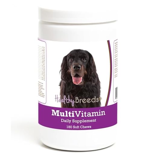 Healthy Breeds Gordon Setter Multivitamin Soft Chew for Dogs 180 Count