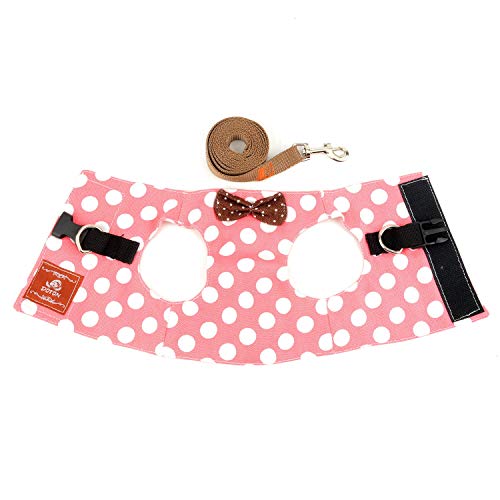 Zunea Pettorina Cane Taglia Piccola Antifuga Gatto...