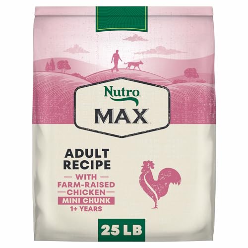 Image of Nutro Max Mini Chunk Adult Dry Dog Food, Farm-Raised Chicken, 25 lb