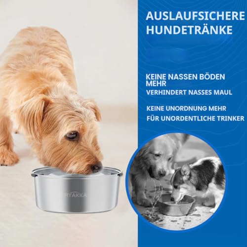 RYAKKA 1L Wassernapf Hund Ohne Sabbern Edelstahl Reisenäpfe Trinknapf Hund Anti Schlabber Drinking Bowl,Slow Feeder Hundenäpfe für kleine und Katzen