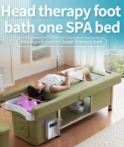 Boiyttylle Electric Backrest Lift Shampoo Bed,Head Spa Water Circulation Massage Bed with Pedicure Shampoo Bed for Spas/Salons