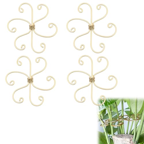 Lot de 4 supports pour plantes grimpantes Monstera et Alocasia, tomates, hortensias (11,5 cm)