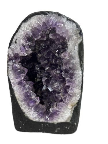 10%off AWXgNX^[ h[  VR PQUWg