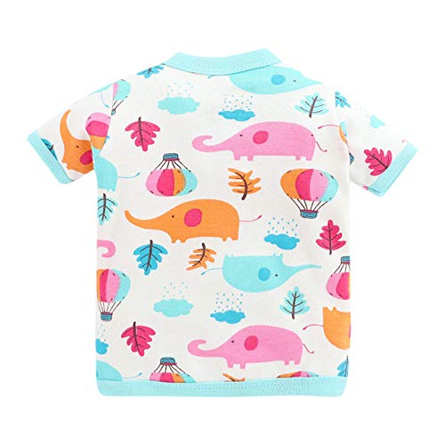 Image of Bumzee Front Open Half Sleeves T-Shirt for Baby