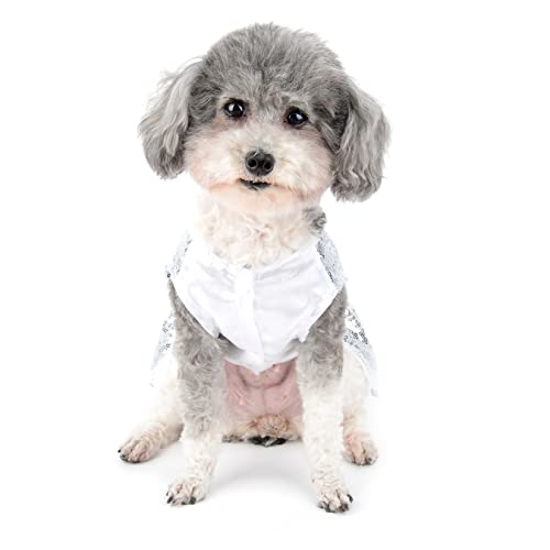 Zunea Bling Sequins Dog Harness Dresses For Small Dog Girl Summer Princess Dress With Bow Knot D-Ring Puppy Party Dress Birthday Wedding Costume Skirt Pet Clothes Outfit For Doggie Chihuahua Silver Xs #TOP7