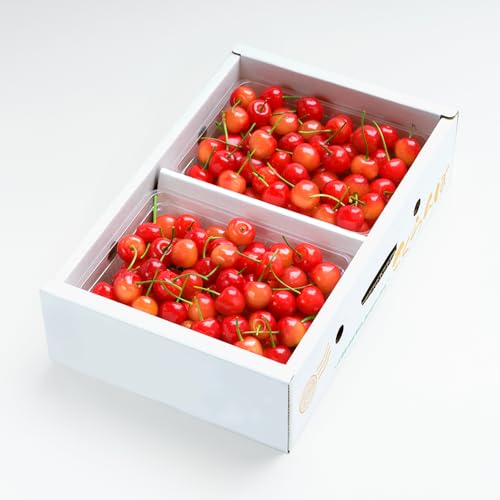 [山形県村山市]先行予約 さくらんぼ 紅秀峰 秀Lサイズ 1kg バラ詰め 化粧箱 (500gx2) 2026年産 令和8年産 山形県産 [6月下旬〜7月上旬頃発送] ns-bsslb1