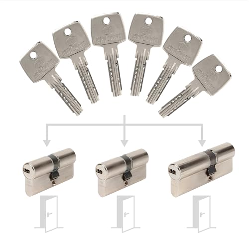 Pack de 3 cylindres Bricard Astral s'entrouvrant: 2x 30+30, & 1x 30+40 avec 6 clés.