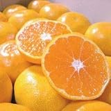 和歌山産 温州みかん 3kg【訳あり 家庭用】ミカン