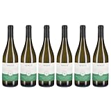 Feudi di San Gregorio | Friuli Colli Orientali SIRCH SAUVIGNON | Vino Bianco Annata 2024 | Confezione da 6 Bottiglie da 750ml