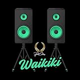 waikiki shop  Waikiki