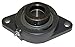Flange Bearing,2-Bolt,Ball,1-1/4" Bore