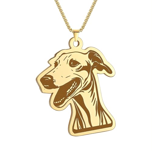 Collares Perros Cuero Marca IOETSEUT