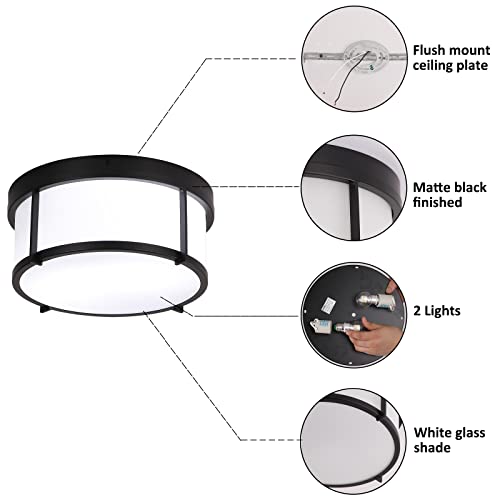 Sottae Modern Black Metal Flush Mount Ceiling Light,Round Frosted Glass Shade Ceiling Lighting Fixtures For Hallway Bedroom Kitchen Dining Room Living Room Entryway 12 Inch Ceiling Lamp #TOP3