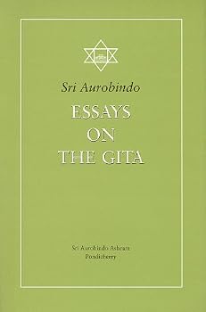Essays on the Gita