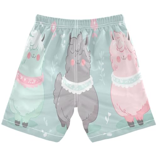 Boys Beach Board Shorts Cute Alpaca Sheep Swim Trunk Teen Swimwear 8-16Y Multicolor2