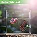 CAPASTEC Betta Fish Leaf, Natural Habitat Simulation for Betta Spawnings Grounds, Betta Spawnings Leaves, Resting Bed, Three Leaves, Red Deep Green