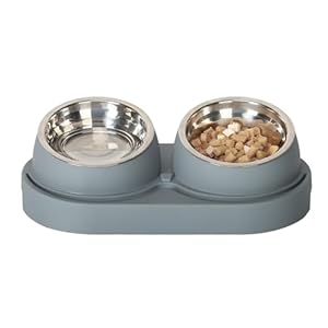 Doppelkatzen-Schalen und Futterschalen,Erhöhte Schüssel aus Edelstahl, geneigt, Futternapf und Futterschüsseln, Futterschalen für Hunde und Katzen cat Feeder