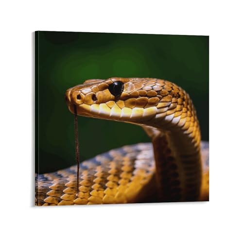 Impression sur toile serpent cobra : cadre moderne haut de gamme 50x50