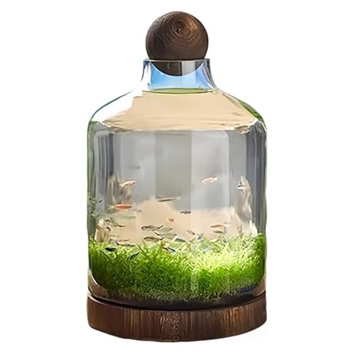 金魚鉢、水槽 ガラス、透明ガラスfish tank、木製トレイ、厚手エコボトル、ランドスケープ魚鉢、水耕栽培、マイクロランドスケープ (48*27cm)