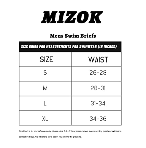 Mizok Mens Swim Briefs Bikini Sexy Striped Swimwear Swimsuits Low Rise Trunks (Medium) Blue #TOP5