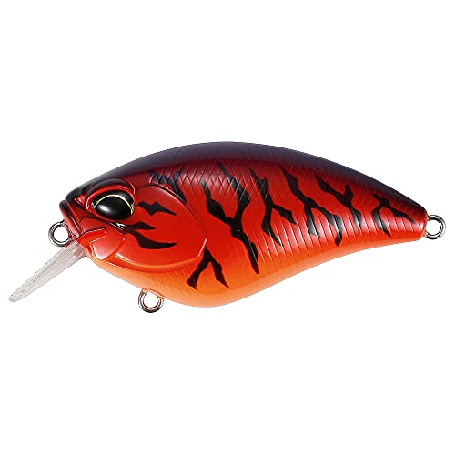 DUO(デュオ) レアリス エイペックス クランク66 スクエア レッドタイガー CCC3069