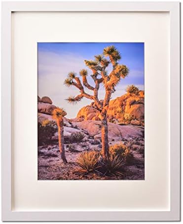 A PLUS MAX Frames 20x24 Picture Frame with mat for 16x20 Picture, 20x24 Poster Frame with Polished Plexiglass Horizontal and Vertical Formats with Included Hanging Hardware-White