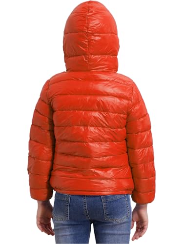 Boys Girls Casual Hoodie Puffer Jacket Zipper Down Coat Long Sleeve Warm Lightweight Outerwear for Kids4