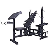 Rückenlehne 7-fach verstellbar: kann sogar waagrecht bis 180° eingestellt werden / Langhantelablage mit Dip-Griffen ist 5-fach verstellbar / Scheibenaufnahmen mit praktischen Schnellverschlüssen