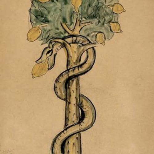 S8 Ep147: Alarming Urban Home Invasion: Venomous Brown Snake in Canberra — Jeremy Zakis — Zakis reported on a concerning home invasion in Canberra involving a highly venomous great eastern brown snake, one of Australia's deadliest species. The family discovered the