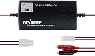 Tenergy Universal RC Battery Charger for NiMH/NiCd 6V-12V Battery Packs, 2A Charger for RC Car, Airsoft Batteries, Compatible with Standard Size Tamiya/Mini Tamiya/Alligator Clips Connectors 01025