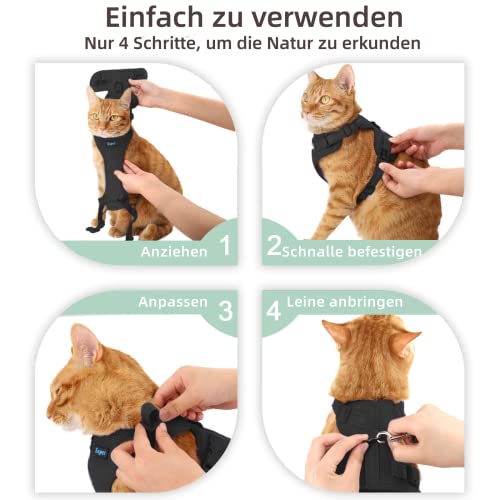 Laisse et harnais pour chat Supet M pour explorer le jardin en toute sécurité