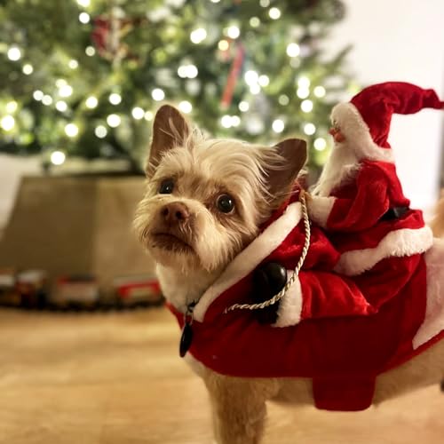 Mfsdai Hund Weihnachtskostüm, Santa Reiten Kleidung Hundekostüm, Hundepullover Mantel Weihnachten Rot für Kleine Mittel Große Hunde Katzen XL