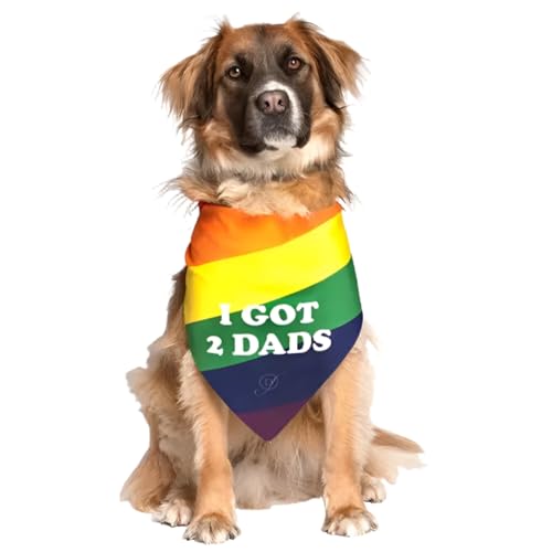 I Got 2 Dads Gay Pride Bandana
