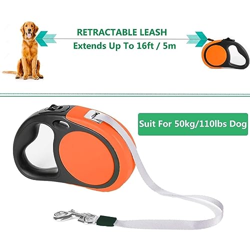 Coleira retrátil dupla para cães de raças pequenas (até 20 kg cada) - Coleira extensível de cabeça d