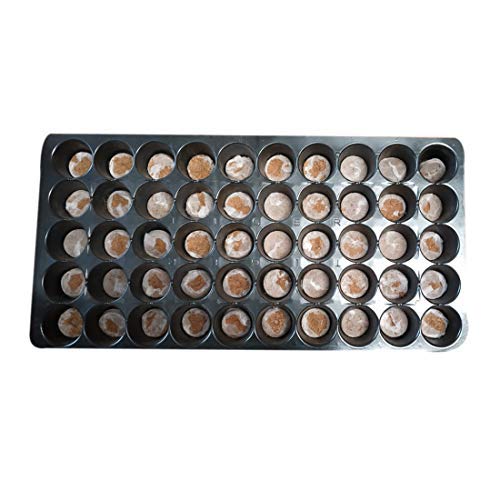 See full amazon price history chart for BIO BLOOMS AGRO INDIA PRIVATE LIMITED Plastic Seedling Tray with 50 Cavities and 500 Coir Coins, Black, LxWxH- 53.34 X 27.94 X 4.5 Cm, 10 Pieces BIO BLOOMS AGRO INDIA PRIVATE LIMITED Plastic Seedling Tray with 50 Cavities and 500 Coir Coins, Black, LxWxH- 53.34 X 27.94 X 4.5 Cm, 10 Pieces (B07LFC15LN) Amazon Price History, Amazon Price Tracker