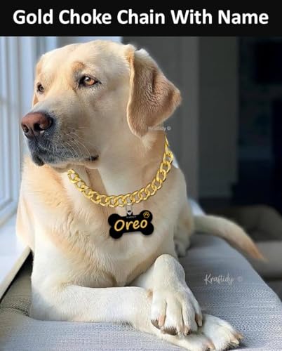 Kraftidy-Dog-Gold-Chain-Collar-with-Name-tag-id-Customized-for-Large-Medium-Dogs-and-Small-Puppies-Neck-Collar-Choke-Chain-with-Dog-Name-Gold-with-Name