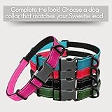 Sweetie Bungee Dog Lead - Shock Absorbing Leash that Softens Pulls & Stops – Neoprene Padded Loop & Traffic Handles for Extra Comfort - Reflective for Safer Night Walking - Image 9