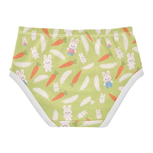 Bunny Rabbit Carrot Dandelion Toddler Girls's Underwear 2T 23006612