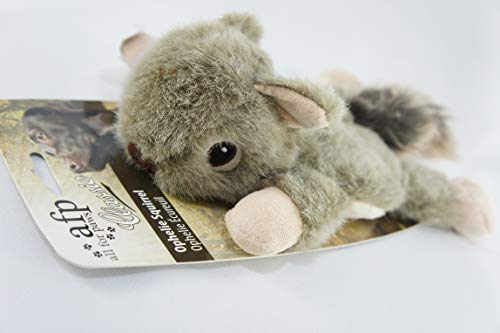 Ophelie Squirrel AFP para Cães