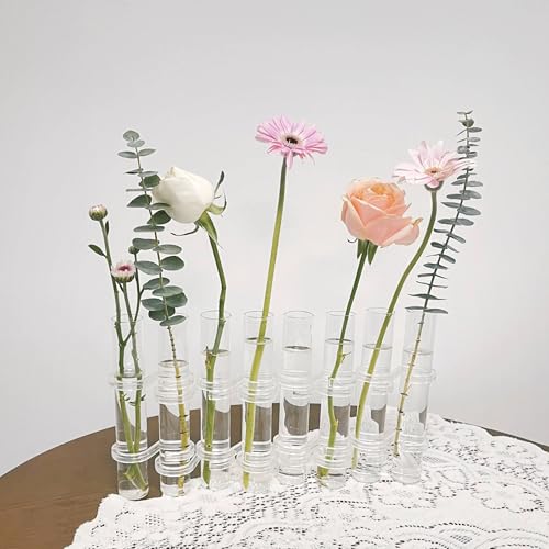 Bourske Hinged Glass Vase Reagenzglasvase mit Scharnier Reagenzgläser mit...